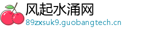 风起水涌网